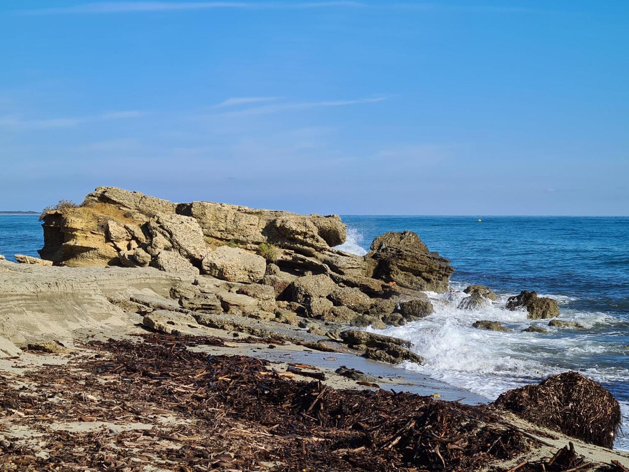 Corse, Residence Marina Di Bravone, Acces Direct Plage Linguizzetta Eksteriør billede